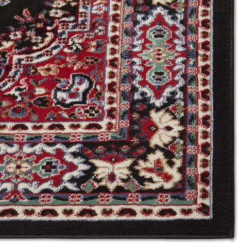 Home Dynamix Premium Sakarya Traditional Medallion Area Rug, Black, 21"x35"