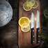 2PCS Little Cook Paring Knife Set, Ultra Sharp German Stainless Steel Kitchen Knives