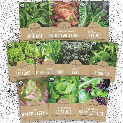 Organic Lettuce & Greens Seeds Variety Pack - 10 Individual Packs -