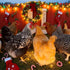 2 Pack Chicken Grit and Oyster Shell Feeder, Hanging Wall Mount Chicken Feeder Combo, Waterproof ABS Automatic Gravity