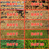 1lb Healthy Greens Wheatgrass Scratch Feed & Fodder Seed, Bag. Premium Wheat Berries, Non-GMO Wheatgrass for Backyard