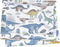 J-pinno Dinosaur World Blue Green Gray Cute Twin 100% Cotton 3 Pieces Sheet
