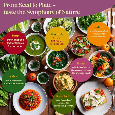 23 Pack 25,000+ Lettuce & Salad Greens Seeds Variety - Non-GMO Heirloom Greens Seeds for Planting Lettuce Indoor
