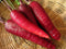 200+ Carrot Seeds- Cosmic Purple