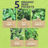 Pack 5 Packs 2026 Organic Herb Seeds Variety - Individual - Season - Basil, Oregano, Dill, Thyme & Parsley. for Indoor