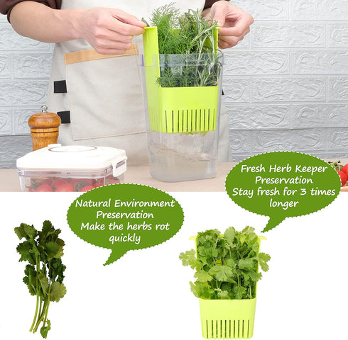 2 Pack 3 Fresh Herb Keeper for Refrigerator, Clear BPA-Free Herb Saver, Storage Container for Cilantro, Parsley, Thyme