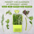 2 Pack 3 Fresh Herb Keeper for Refrigerator, Clear BPA-Free Herb Saver, Storage Container for Cilantro, Parsley, Thyme