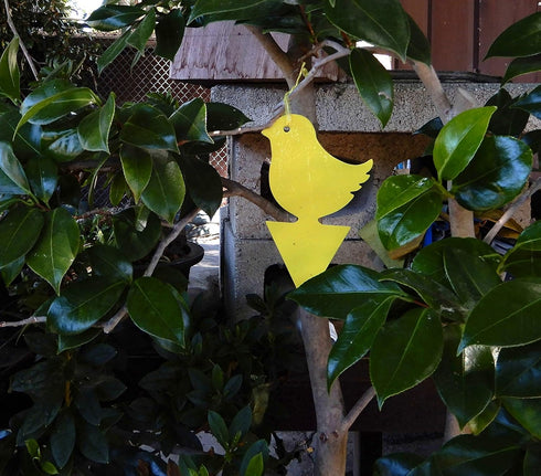 Yellow Sticky Fly Traps, 25 Pack for Gnat, Whitefly, Fungus Gnat, Small Insects, Bug Catcher