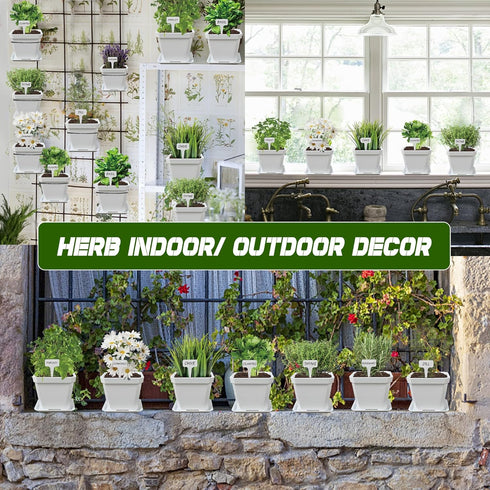 10 Set Meekear Herb Seeds Garden Starter Grow Kit with White Pots, Markers, Nutritional Soil, Watering, Herb Clipper