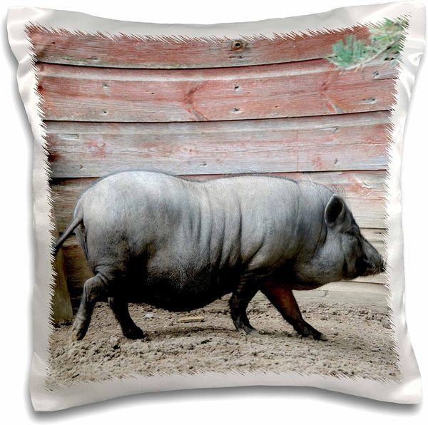 3dRose Adult Black Potbellied Pig Walking on Farm - Pillow Case, 16 by 16-inch
