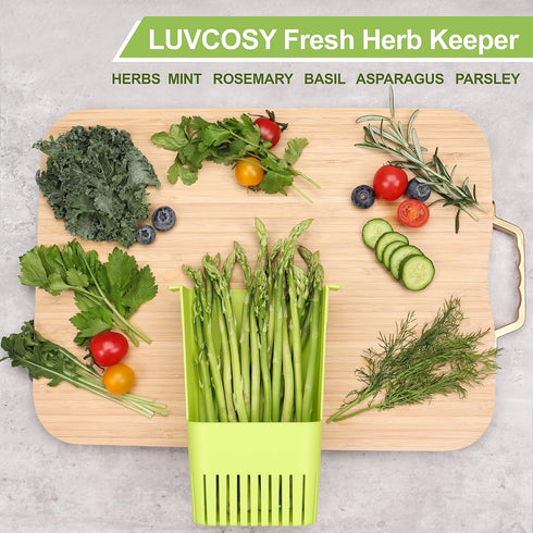 Herb Keeper 1Pcs, BPA-Free Plastic Herb Saver with Inner Basket for Cilantro, Mint, Parsley, Asparagus, Keeps Fresh
