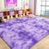 Super Fluffy Rug for Bedroom, 4x6 Shag Fuzzy Area Rug for Living Room, Non Slip Throw Rugs for Kids