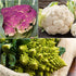 Packet (3 Seed Needs, Cauliflower Seed Collection Varieties of Heirloom Vegetable Seeds for Planting) Non-GMO