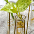 3 Propagation Station Terrariums with Gold Metal Stand - Kate Aspen Glass Test Tube Planters for Indoor Plant, Air