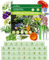 35 Pack Medicinal & Tea Herb Seeds for Planting - Non-GMO Heirloom Variety for Indoor/Outdoor Garden: Anise, Bergamot