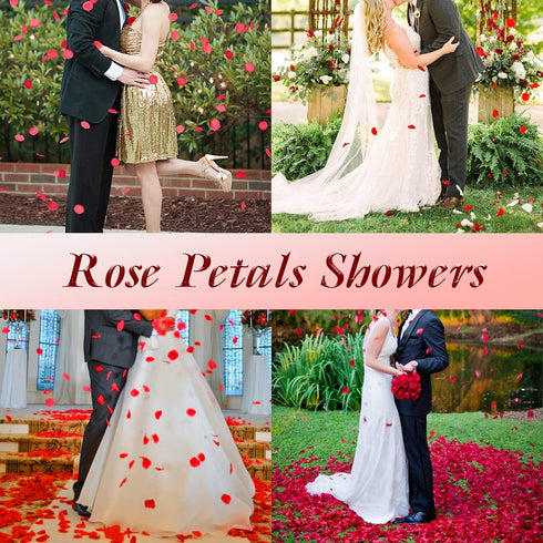 3000 Pcs Silk Rose Petals, Red Rose Flower Petals for Wedding, Valentines, Romantic Night, Birthday Decor