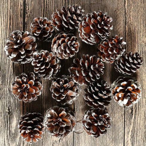 Cooraby 24 Pieces Christmas Pine Cones Ornament, Natural with String for Tree Decoration (Snow)