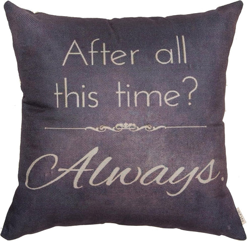 Retro Vintage Motivational Sign - After All This Time Always Inspirational Quote Throw Pillow Case (Gray Brown, 18" x