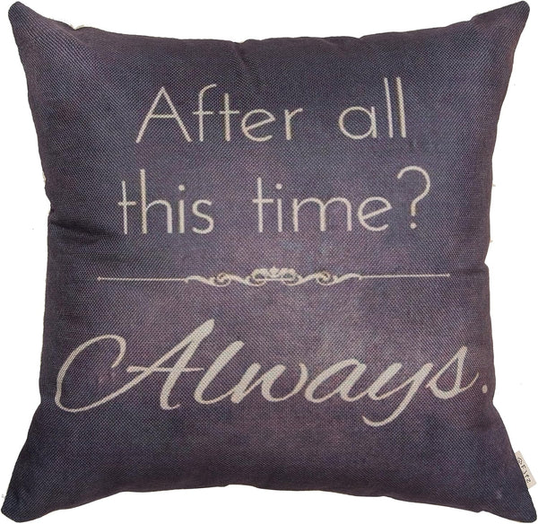 Retro Vintage Motivational Sign - After All This Time Always Inspirational Quote Throw Pillow Case (Gray Brown, 18" x