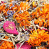 YIFULOWA 20oz Vacuum-Packed, 6 Chicken Nesting Box Herbs Natural Dried Herbs for Chicken Coop Freshness, Healthy Hens