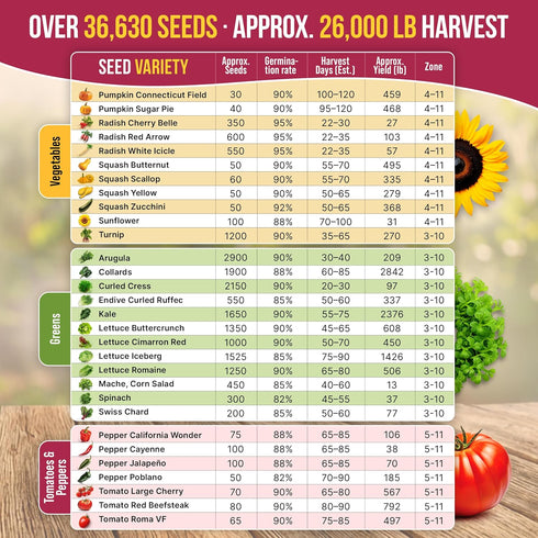 55 Pack 35,600+ Packets, Vegetable Seeds Variety - Non-GMO Heirloom Seeds for Planting Vegetables and Fruits