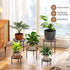 5 Pack Metal Plant Stand Indoor Outdoor Heavy Duty Plant Stands Anti-Rust Iron Flower Pot Stands,Flower Pot Stand Plant
