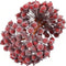 Tatuo 400 Pcs Dark Red Berries Stems 12 mm Artificial Frosted Holly