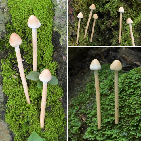 Mumutie 8-Pack Handmade Clay Mushrooms - Mini Fake Mushrooms for DIY Miniature Landscapes & Fairy Gardens - Desktop