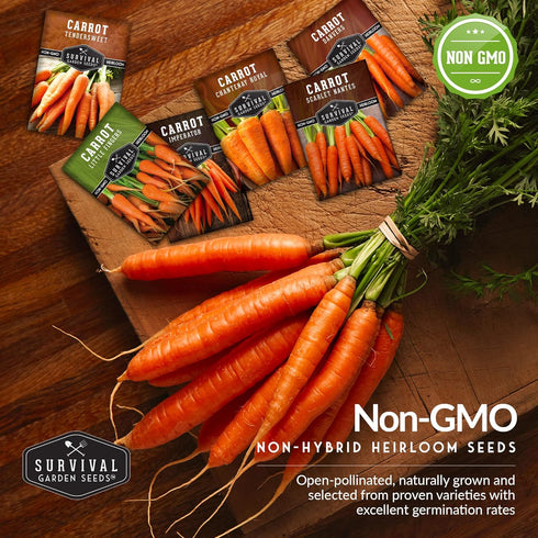 Pack 6 58, Carrot Seeds Variety for Planting Variety Carrot Seed Collection with Little Finger, Danvers, Scarlet
