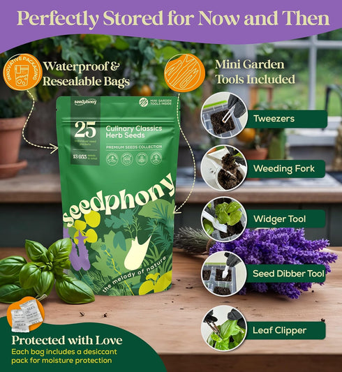 25 Pack 13,055+ Culinary Herb Seeds Variety - Non-GMO Heirloom Herbs Seeds for Planting Indoor & Outdoor: Rosemary