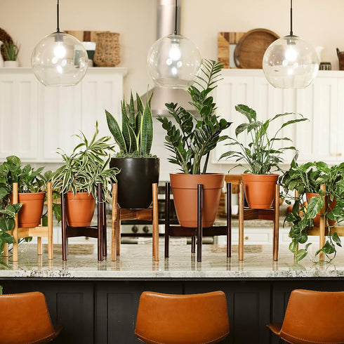 8 9 10 11 12 RAINBLELAND Indoor Plant Stand, Adjustable Wooden Tall Plant Stand, Indoor Planter Holder, Mid Century