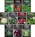 10 Spring Vegetable Seed Collection for Planting | Cool Season Root Vegetables