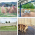 GardenNow 15.7IN 33FT Upgraded x ABS Plastic Chicken White Wire Fence Mesh, Poultry Fencing, Hexagonal Fencing Wire