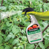 (10027) Set (32 oz) Fertilome Tomato & Pepper RTU