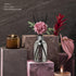 Aronica Smell Good Stuff, Floral Office Decor Air Fresheners, Rose Scented Room Fresheners for Home