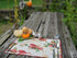 Tache Spring Placemats Set of 4 Floral Sweet Red Roses Birds Shabby Chic Vintage Tapestry Kitchen Dining Linens