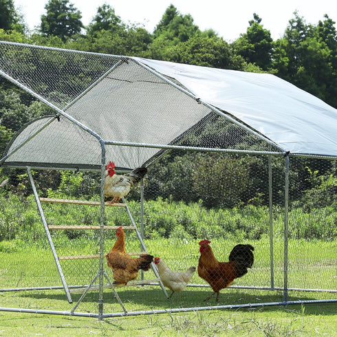 (55" 40" PETSFIT Square Chicken Roosting Perch, Perfect for Backyard Poultry, Chickens Perch for Coop, Easy