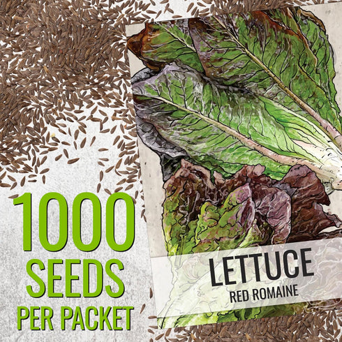 Pack 2 Packets Seed Needs Romaine Lettuce Seeds Variety for Planting a Collection of Individual Varieties - Include Red
