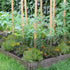 15.7IN 16.4FT 0.35" Unves Chicken Wire Plastic Mesh, x Fencing for Poultry Floral Dogs Rabbit Pets Barrier Netting