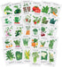 Sereniseed Certified Organic Vegetable Seeds (30-Pack) Non GMO, Open Pollinated - Basil,