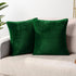 PAVILIA Emerald Green Throw Pillow Covers, 18x18 Set of 2, Decorative Pillow Cases for Bed Sofa Couch, Velvet Square