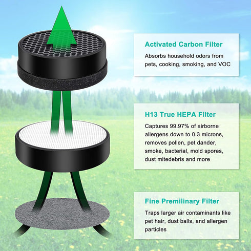 Flintar H13 Grade True HEPA Replacement Filters for hOmeLabs True HEPA H13 Air Purifier HME020248N, 2-Pack