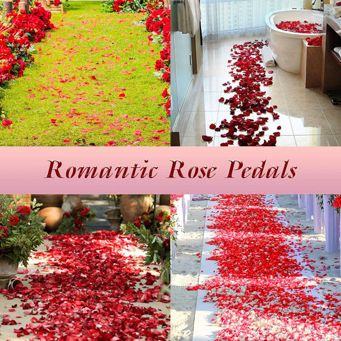 3000 Pcs Silk Rose Petals, Red Rose Flower Petals for Wedding, Valentines, Romantic Night, Birthday Decor
