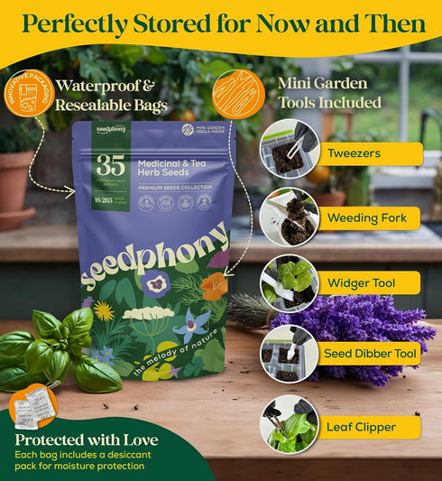 35 Pack 16,285+ Packets Seedphony Medicinal & Tea Herb Seeds Variety - Non-GMO Heirloom Herbs Seeds for Planting Indoor