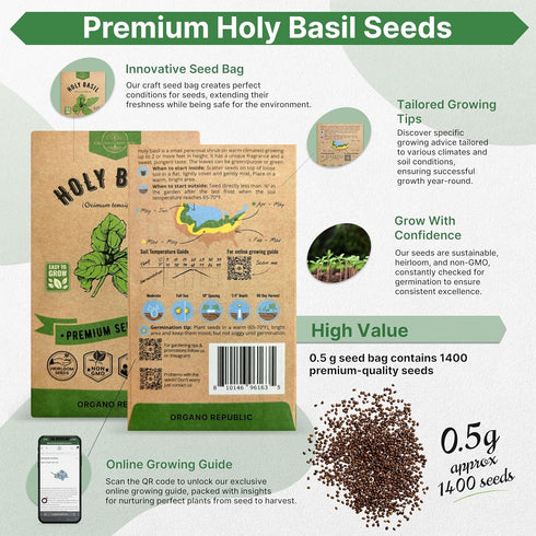Pack 0.5 1,400 Packet, Organo Republic Holy Basil Seeds G - Over Non-GMO Heirloom Basil Seeds for Planting Herbs