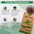 Pack 0.5 1,400 Packet, Organo Republic Holy Basil Seeds G - Over Non-GMO Heirloom Basil Seeds for Planting Herbs