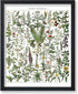 Poster Master Vintage Adolphe Millot Poster, Medicinal Plant Print, Botanical Art, Herb Wall Art, Gift for Him, Her &