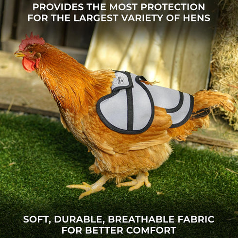 4 Pack COOPED UP Canvas Chicken Saddle for Medium-Large Hens with Larger Wing Cover and Adjustable Straps - Pink
