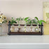 Bulb THYGIFTREE Plant Propagation Stations with Wooden Stand, Desktop Retro Plant Terrarium Vase for Indoor Hydroponic