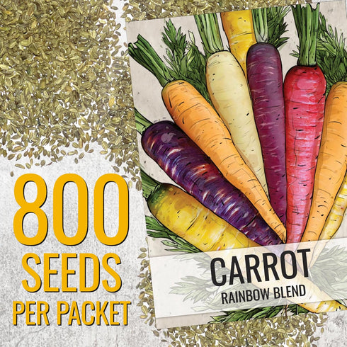 (5 Packs) Seed Needs Carrot Seeds for Planting Rainbow Carrots - Non-GMO Heirloom & Untreated Veggie Seed to Grow a